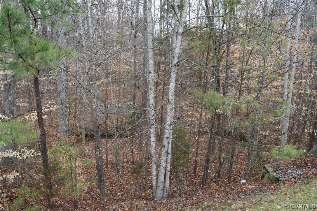 373 Hamlet Road Manakin-Sabot, VA 23103 - Photo 42 of 49 a view of a forest