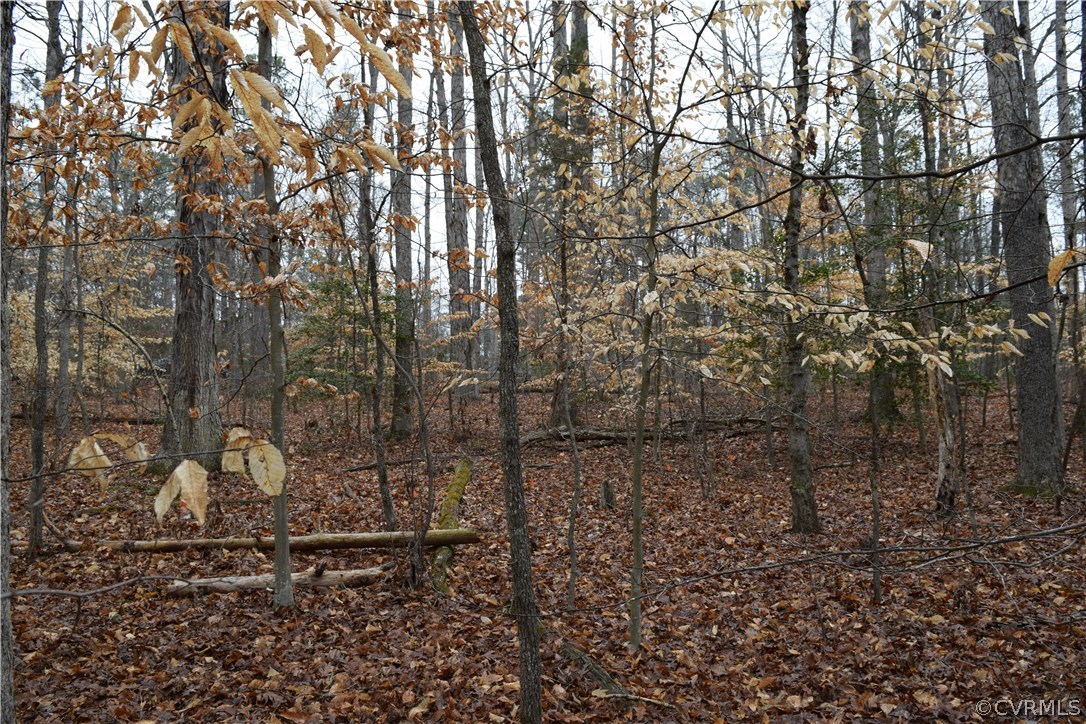 373 Hamlet Road Manakin-Sabot, VA 23103 - Photo 45 of 49 a view of a yard with large trees