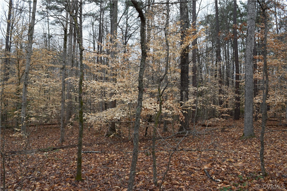 373 Hamlet Road Manakin-Sabot, VA 23103 - Photo 46 of 49 a view of a yard