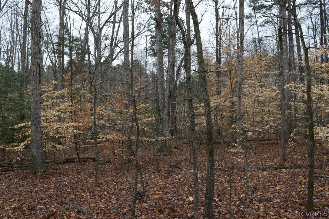373 Hamlet Road Manakin-Sabot, VA 23103 - Photo 47 of 49 a view of a forest next to a yard
