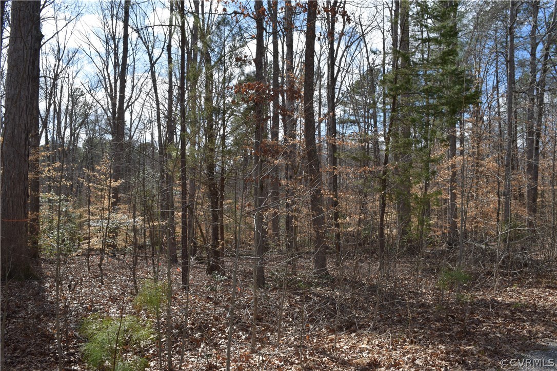 373 Hamlet Road Manakin-Sabot, VA 23103 - Photo 6 of 49 a view of forest