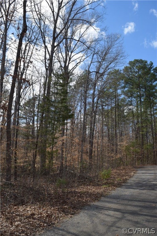 373 Hamlet Road Manakin-Sabot, VA 23103 - Photo 7 of 49 a view of a yard with large trees