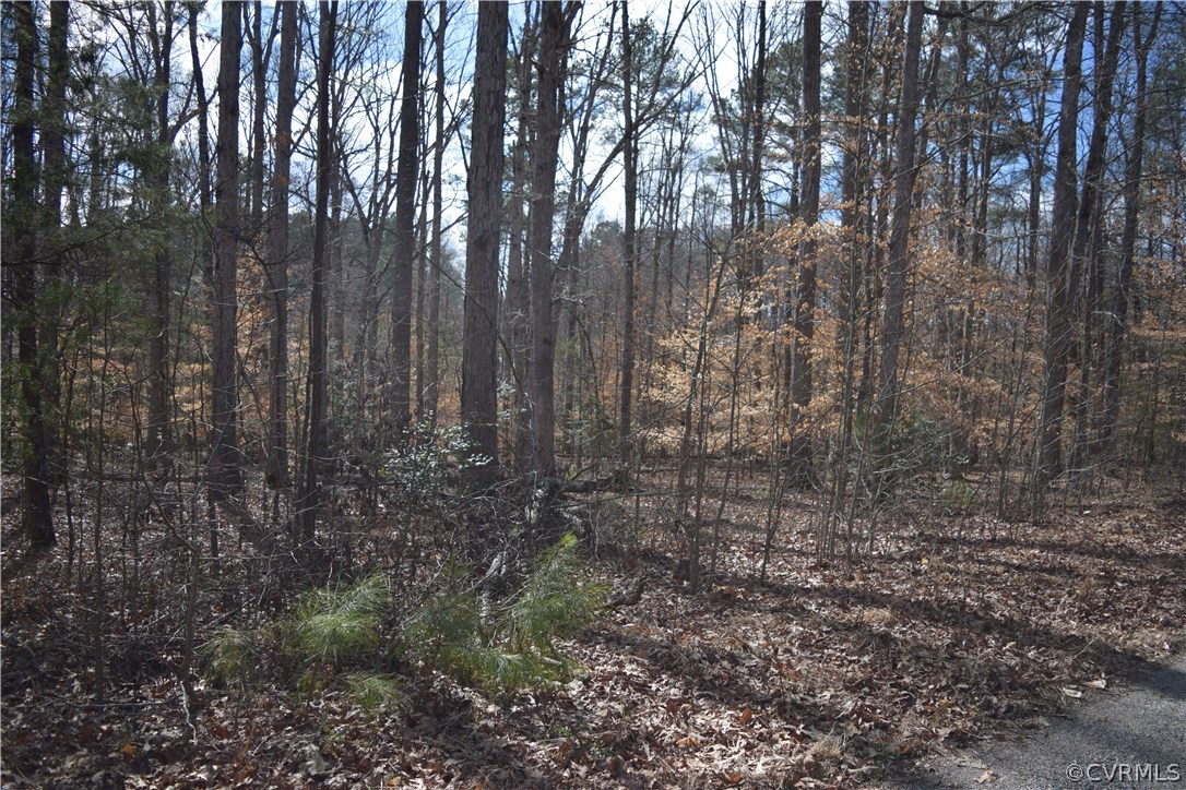 373 Hamlet Road Manakin-Sabot, VA 23103 - Photo 8 of 49 a view of a yard with lots of trees