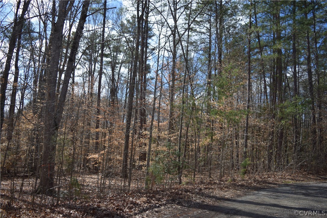 373 Hamlet Road Manakin-Sabot, VA 23103 - Photo 9 of 49 a view of a yard with lots of trees
