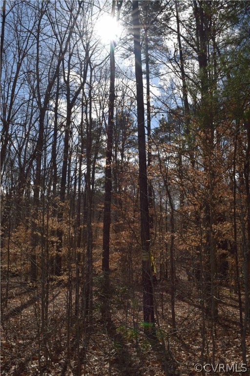 373 Hamlet Road Manakin-Sabot, VA 23103 - Photo 10 of 49 a view of outdoor space