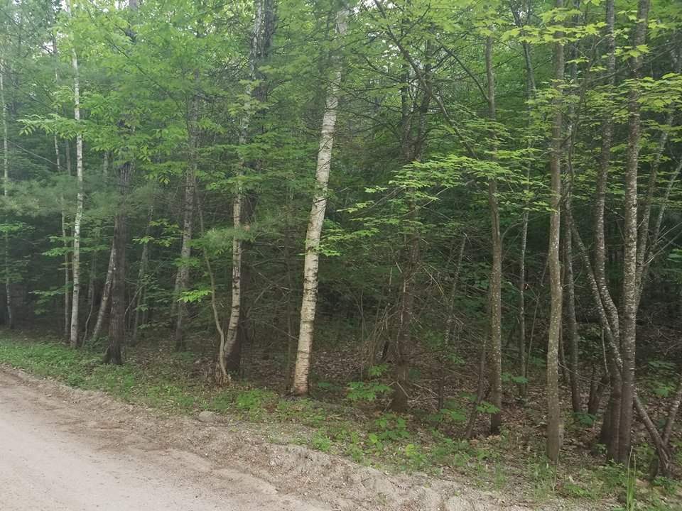 Lot 11 West Shore Road Andover, NH 03216 - Photo 3 of 4