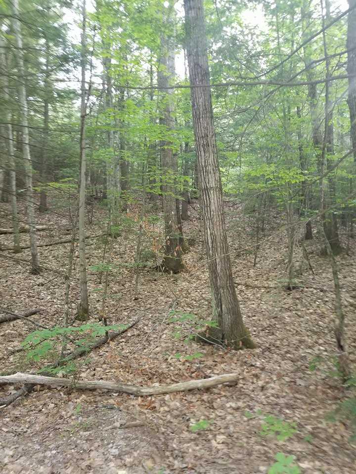 Lot 11 West Shore Road Andover, NH 03216 - Photo 4 of 4