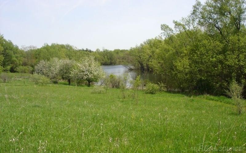 5931 Lippincott Road Lapeer, MI 48446 - Photo 38 of 46 Gallery Image 38