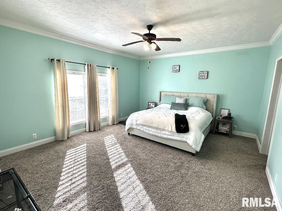 1005 Green Street Road Centralia, IL 62801 - Photo 14 of 29