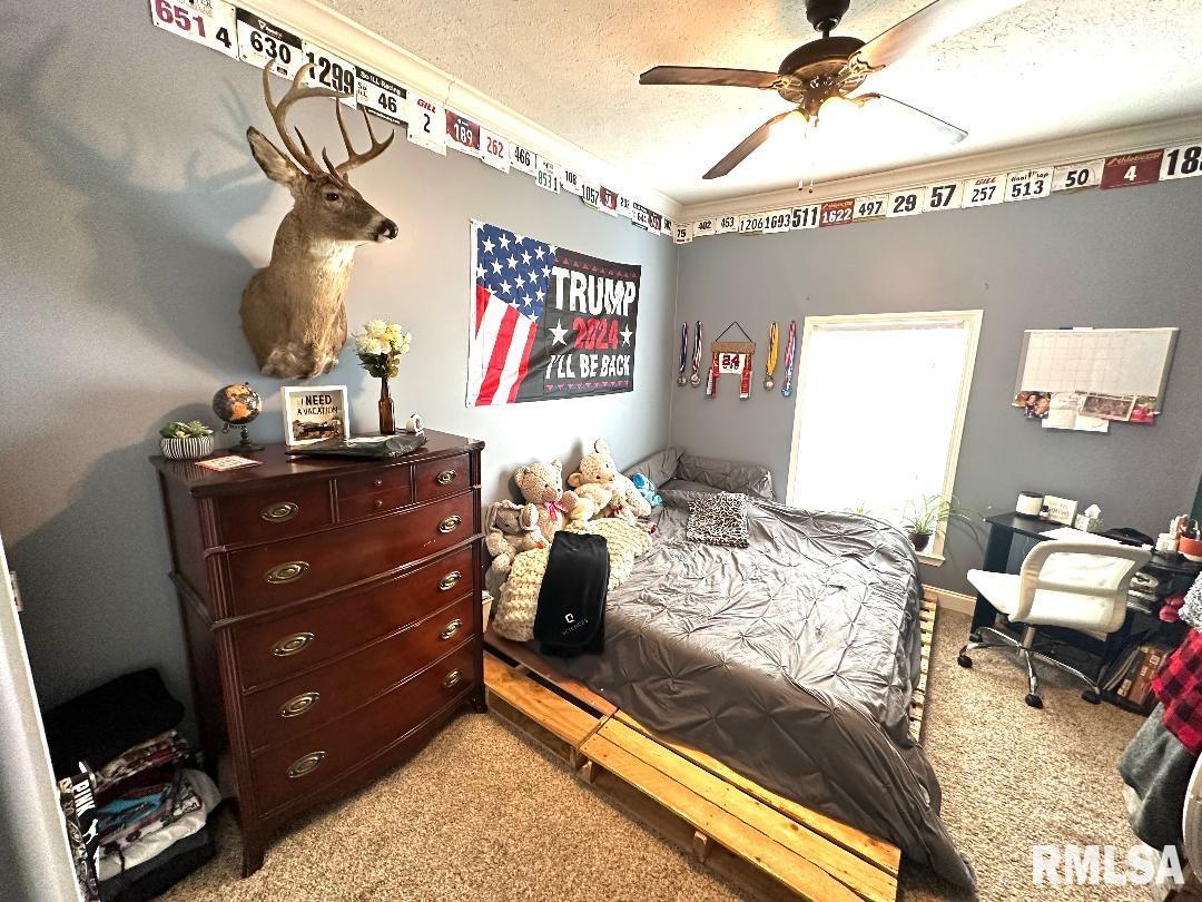 1005 Green Street Road Centralia, IL 62801 - Photo 19 of 29