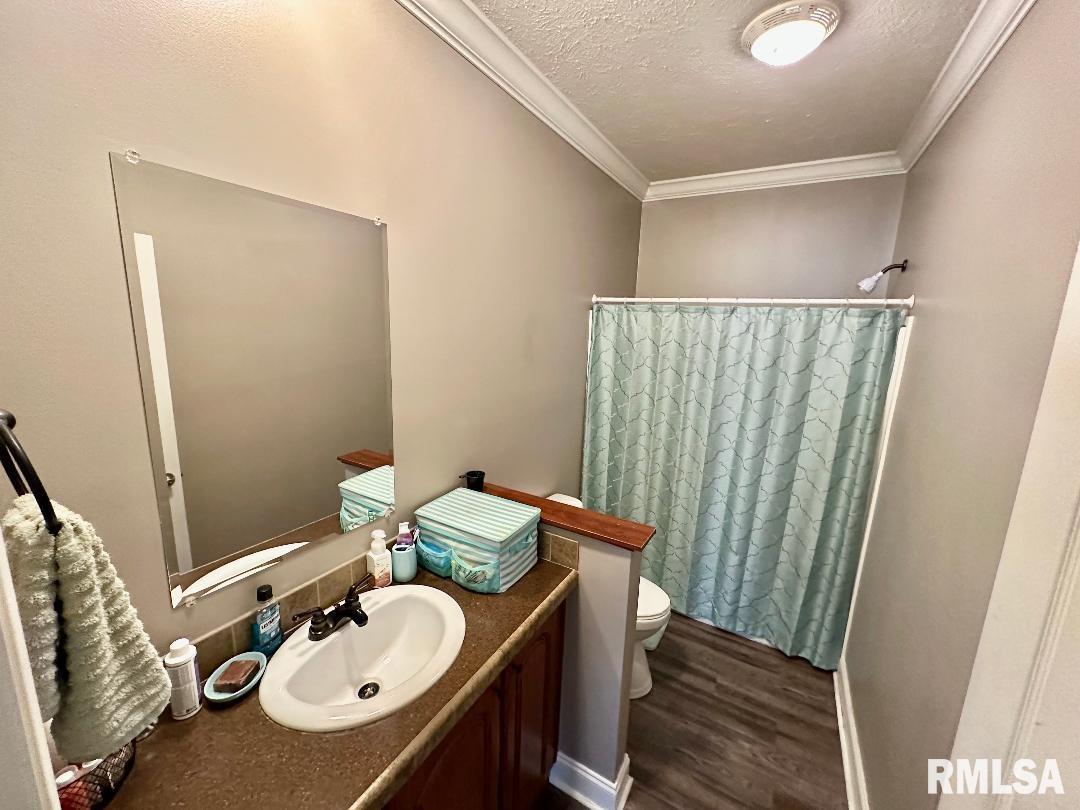 1005 Green Street Road Centralia, IL 62801 - Photo 20 of 29