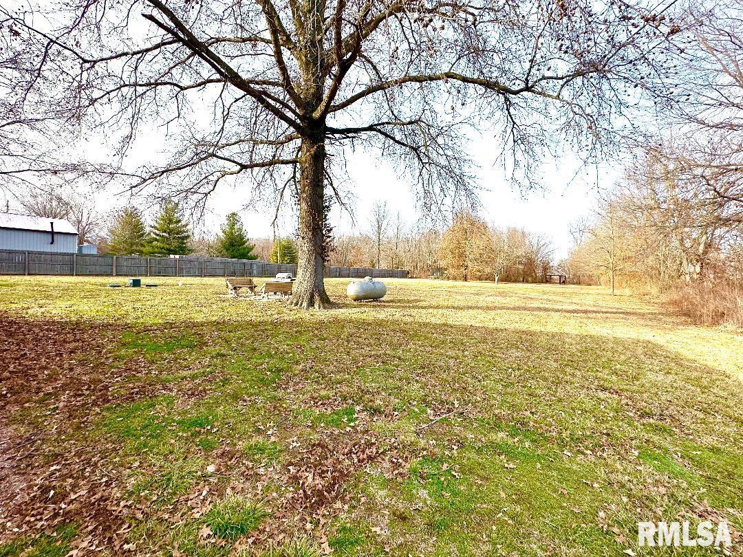 1005 Green Street Road Centralia, IL 62801 - Photo 29 of 29