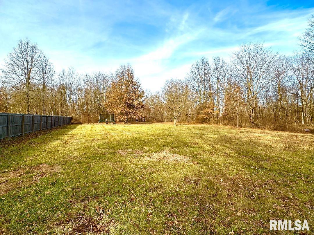 1005 Green Street Road Centralia, IL 62801 - Photo 5 of 29