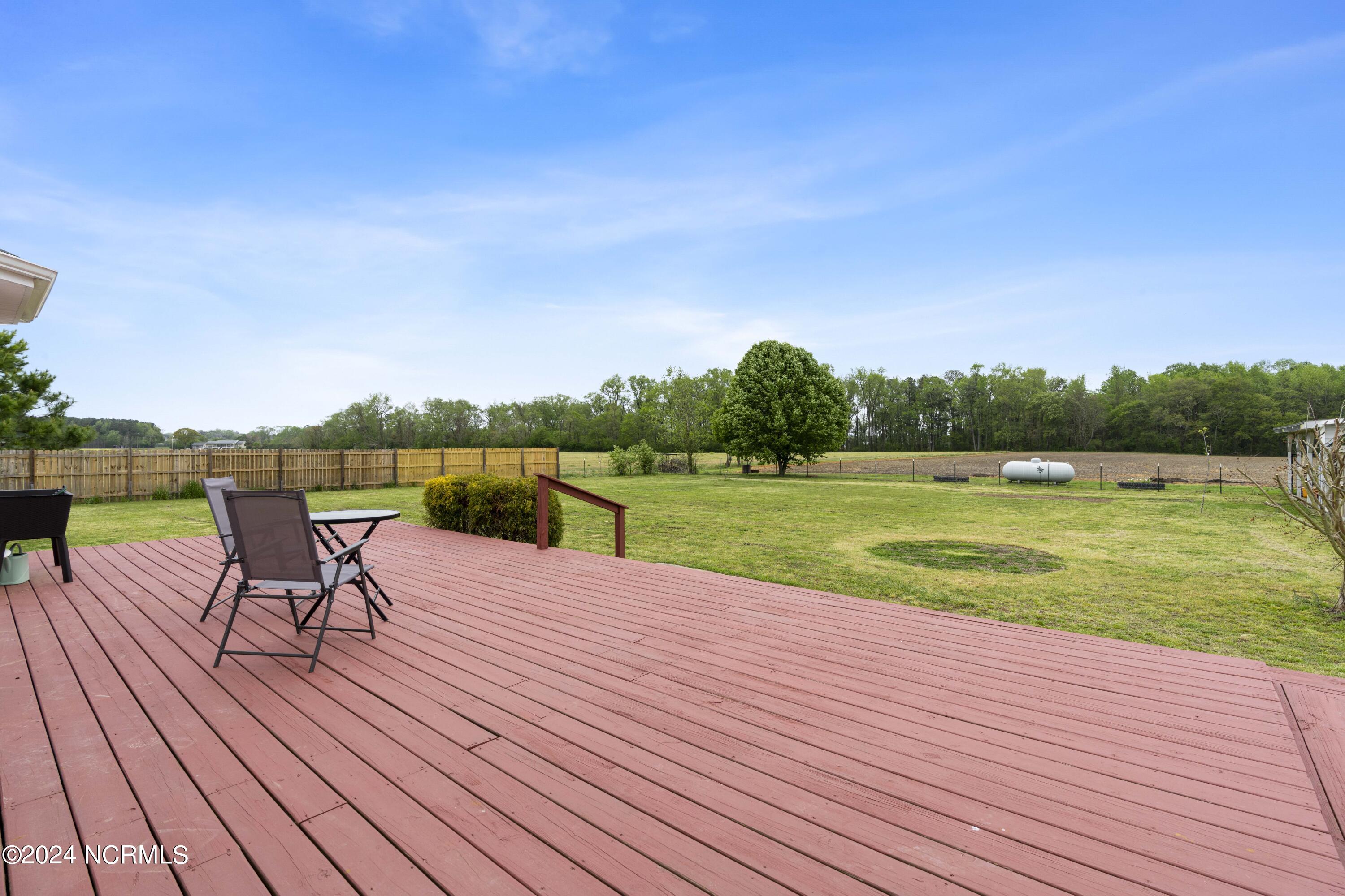 1507 Faro Road Stantonsburg, NC 27883 - Photo 33 of 42 Backyard