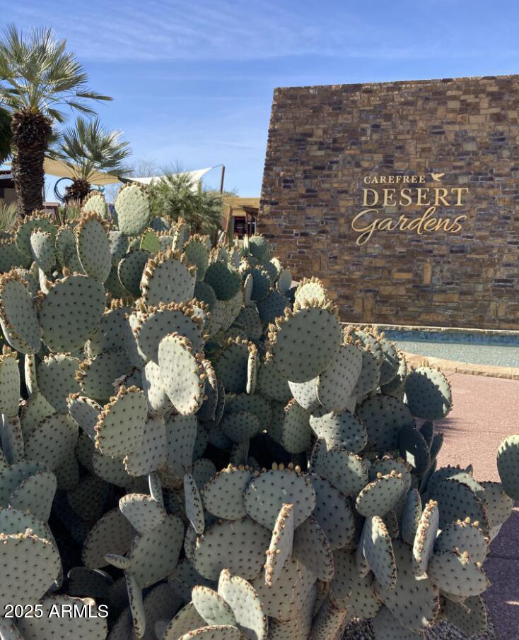 5830 East Restin Road Carefree, AZ 85331 - Photo 71 of 72