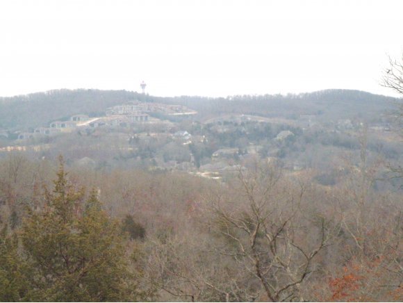 Forest Lake Branson Lake Reeds Spring, MO 65737 - Photo 1 of 1 Primary Photo