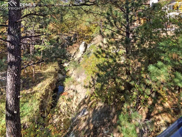 a view of a tree in a yard