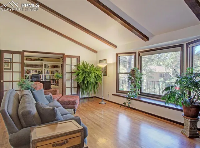 a living room with furniture large window and potted plants