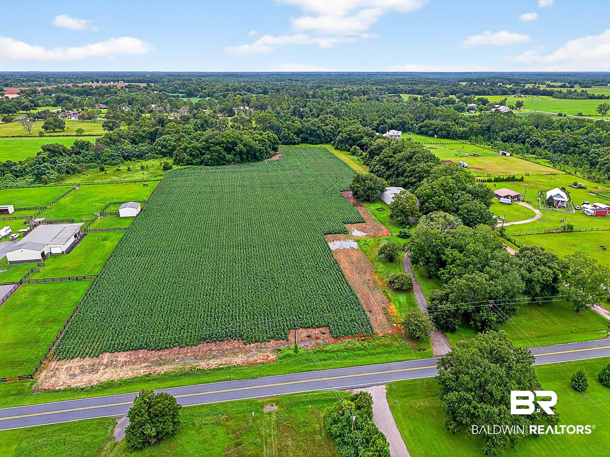 17270 Davis Road Summerdale, AL 36580 - Photo 49 of 97 Overview of rural landscape featuring farmland