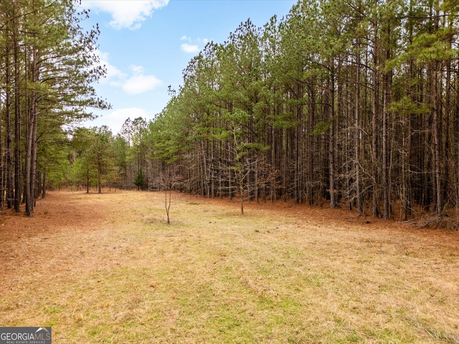 1084 Hester S Ferry Road Tignall, GA 30668 - Photo 9 of 17 Gallery Image 9