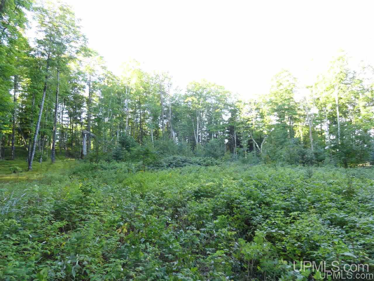 5-acres Co Rd Sa Cornell, MI 49818 - Photo 25 of 27