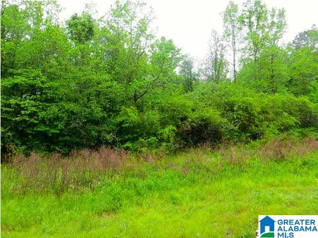 0 Jackson Trace Road, Unit 162ACRES Lincoln, AL 35096 - Photo 8 of 8 Gallery Image 8