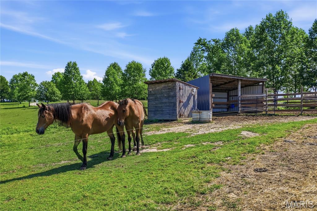 7816 Rye Creek Road St. Clair, MO 63077 - Photo 53 of 80