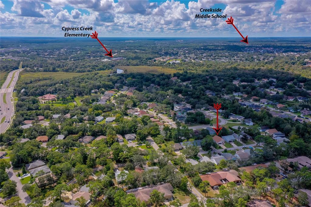 128 Crooked Pine Road Port Orange, FL 32128 - Photo 38 of 46 a view of a park with a plants and trees