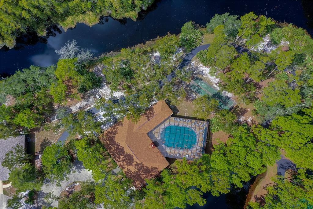 128 Crooked Pine Road Port Orange, FL 32128 - Photo 40 of 46 a view of a garden with plants