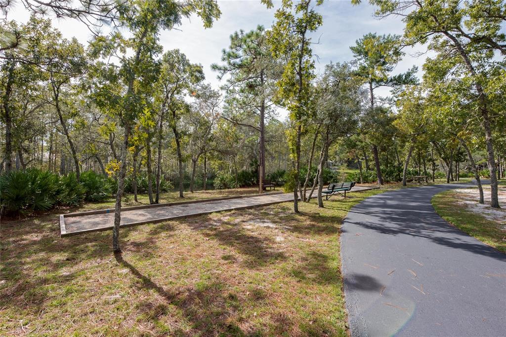 128 Crooked Pine Road Port Orange, FL 32128 - Photo 42 of 46 a view of a park with large trees