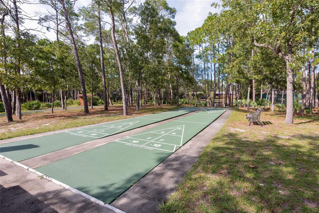 128 Crooked Pine Road Port Orange, FL 32128 - Photo 43 of 46 a view of a basketball court