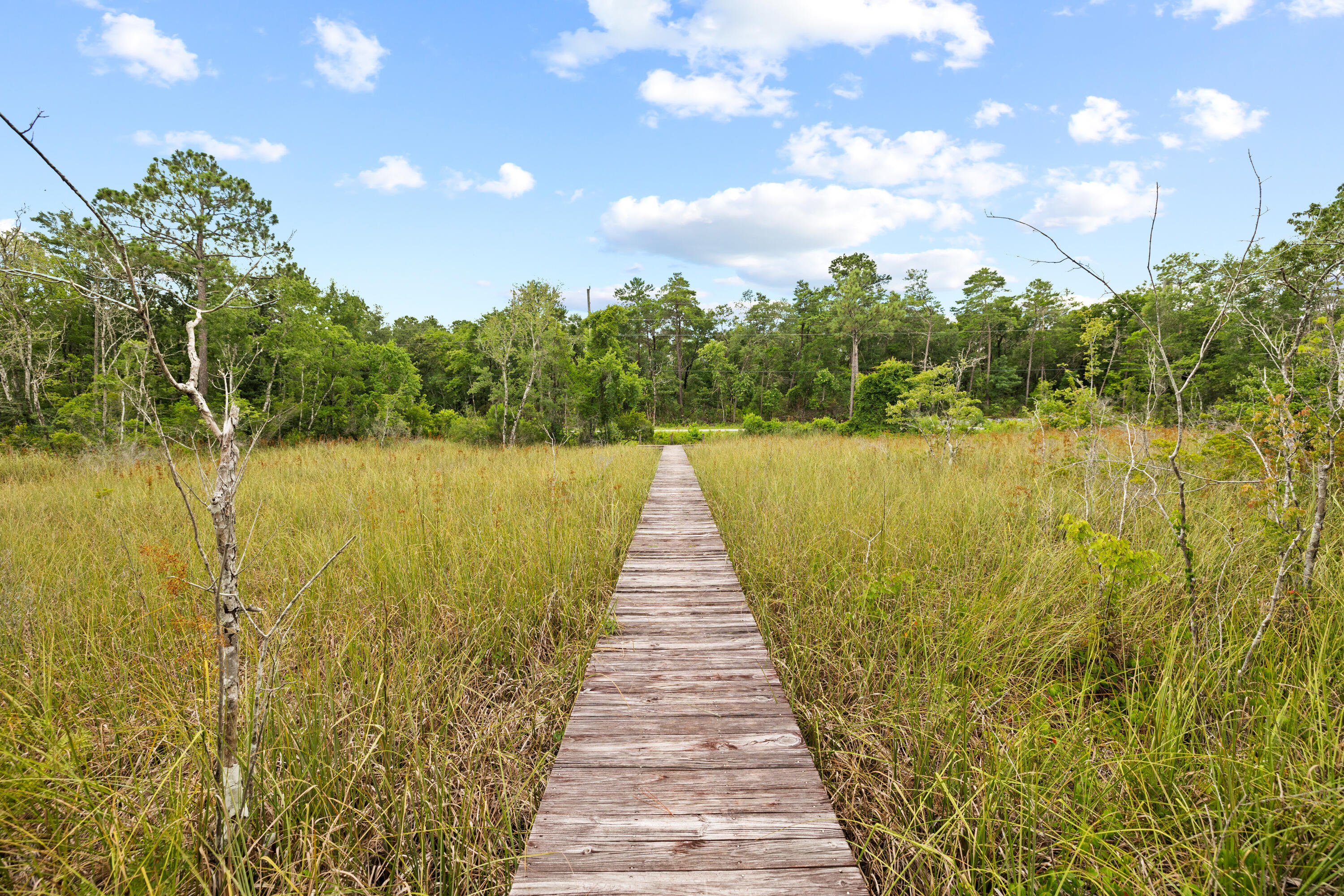 Lot 8 Devlieg Avenue Santa Rosa Beach, FL 32459 - Photo 4 of 10 Community dock
