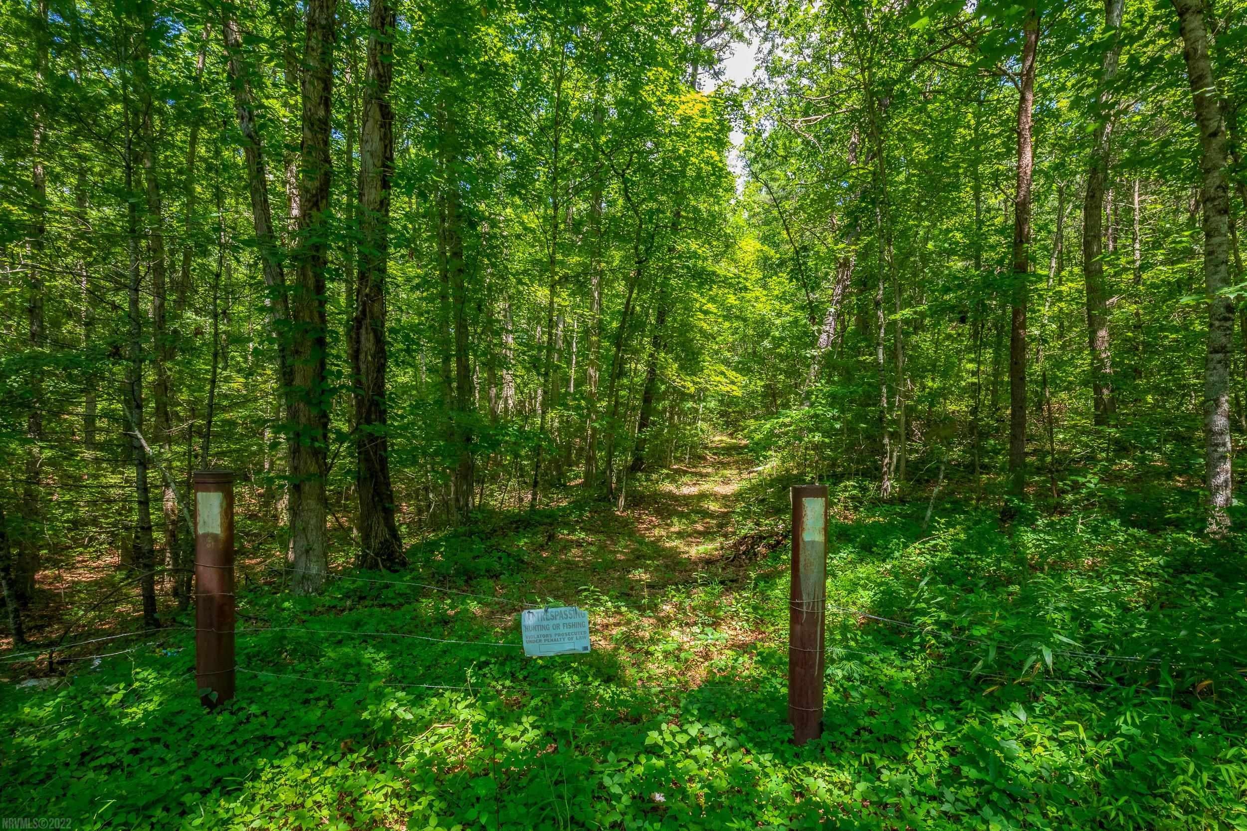 Tbd Dinky Track Road Bland, VA 24315 - Photo 2 of 26 Gallery Image 2