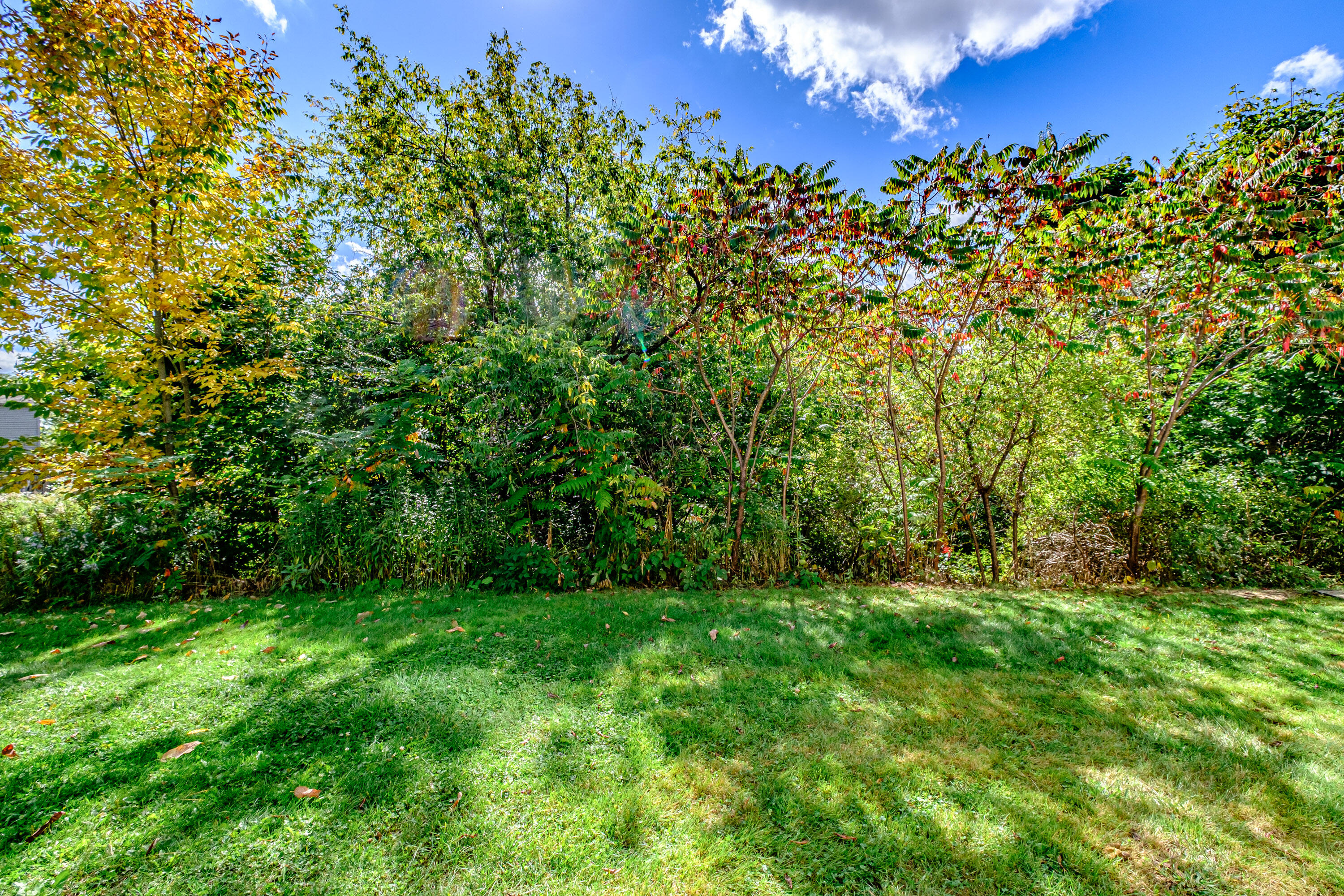 6 Back Cove Estates Road, Unit 6 Portland, ME 04103 - Photo 42 of 47 20240927gp-62044