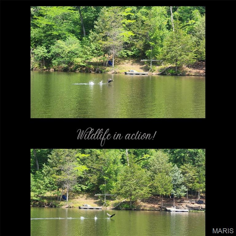 102 North Kings Road Marthasville, MO 63357 - Photo 11 of 51