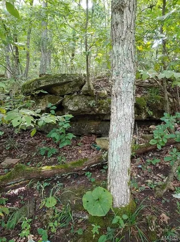 $30,000 | 102 North Kings Road, Marthasville, MO 63357