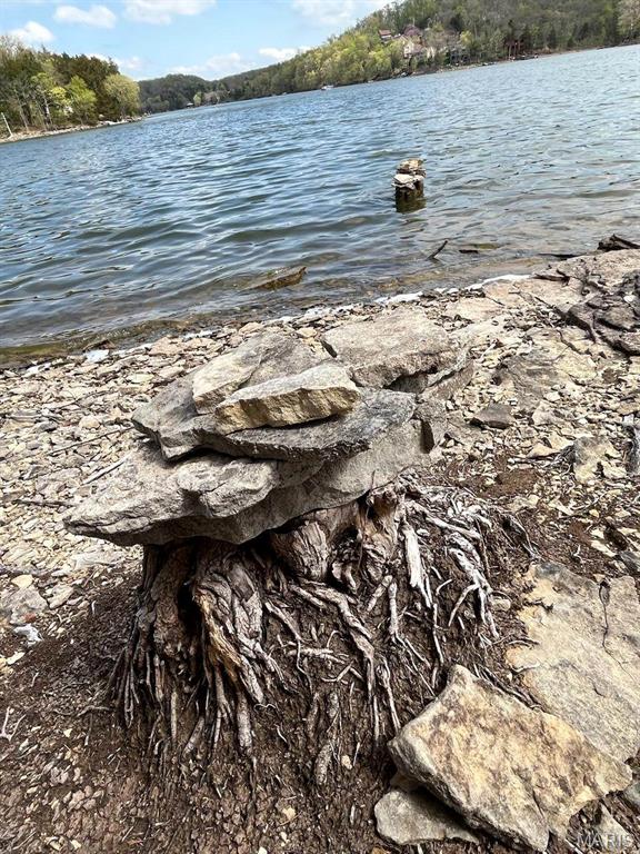 102 North Kings Road Marthasville, MO 63357 - Photo 26 of 51