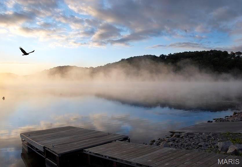 102 North Kings Road Marthasville, MO 63357 - Photo 35 of 51