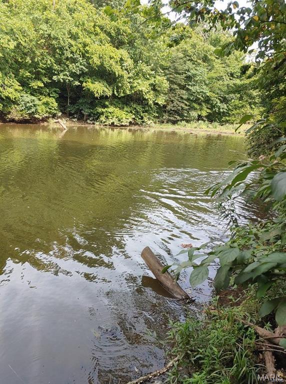 102 North Kings Road Marthasville, MO 63357 - Photo 5 of 51