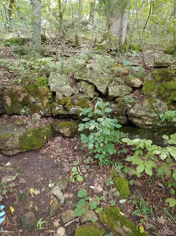 $30,000 | 102 North Kings Road, Marthasville, MO 63357