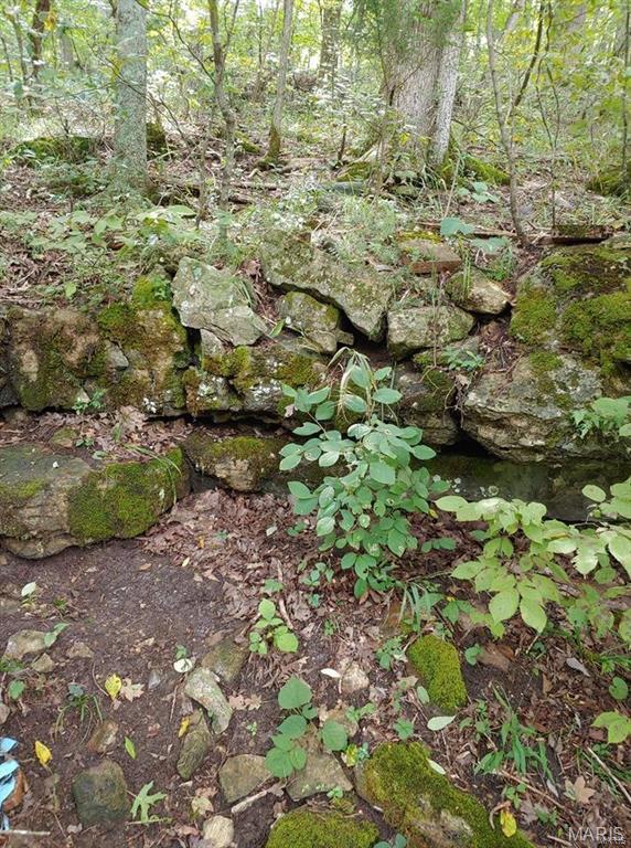 102 North Kings Road Marthasville, MO 63357 - Photo 6 of 51