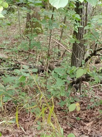 $30,000 | 102 North Kings Road, Marthasville, MO 63357