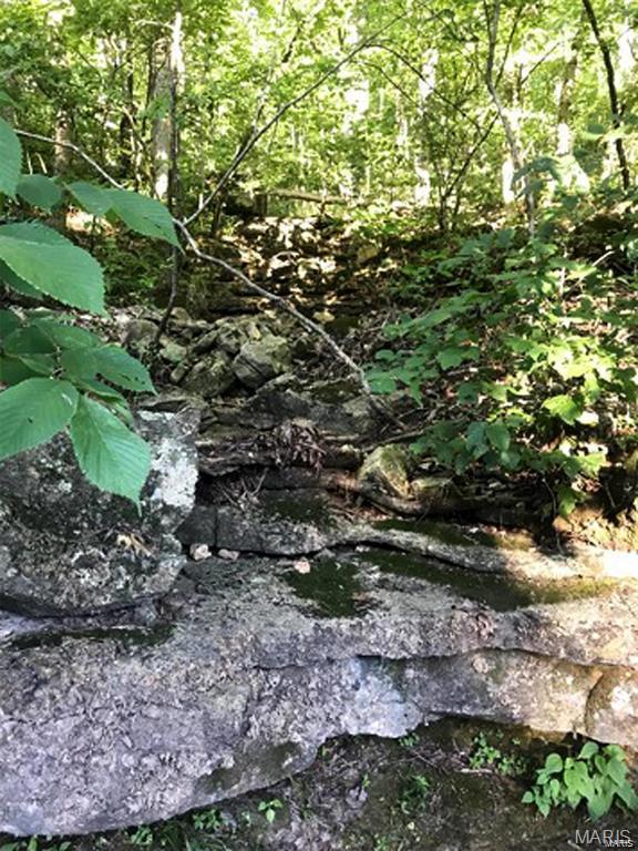 102 North Kings Road Marthasville, MO 63357 - Photo 7 of 51