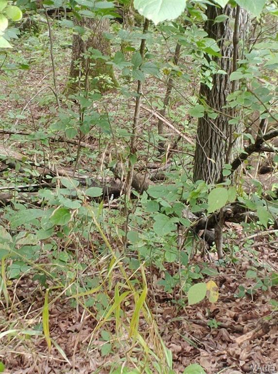 102 North Kings Road Marthasville, MO 63357 - Photo 8 of 51