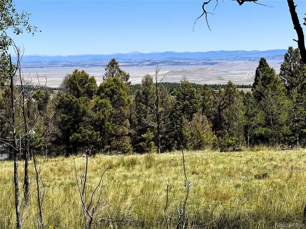 $85,000 | 110 Kaufman Court, Hartsel, CO 80449