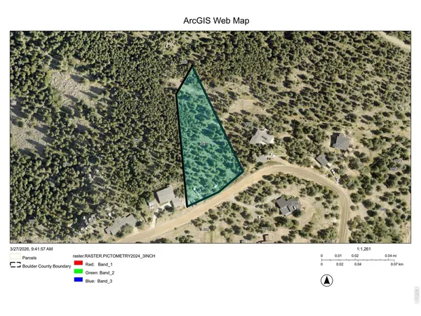 a black and white photo of a green space