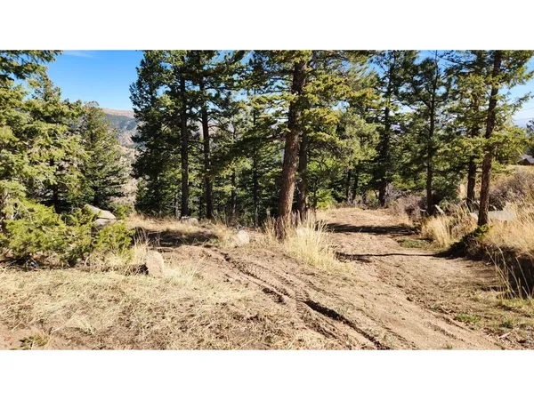 a black and white photo of a park