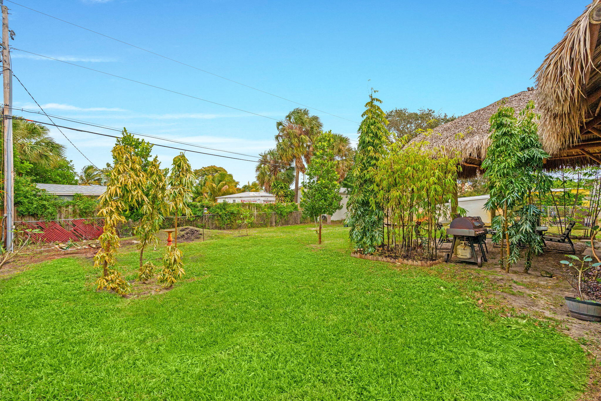 236 West 24th Street Riviera Beach, FL 33404 - Photo 31 of 48 a garden with trees in front of it