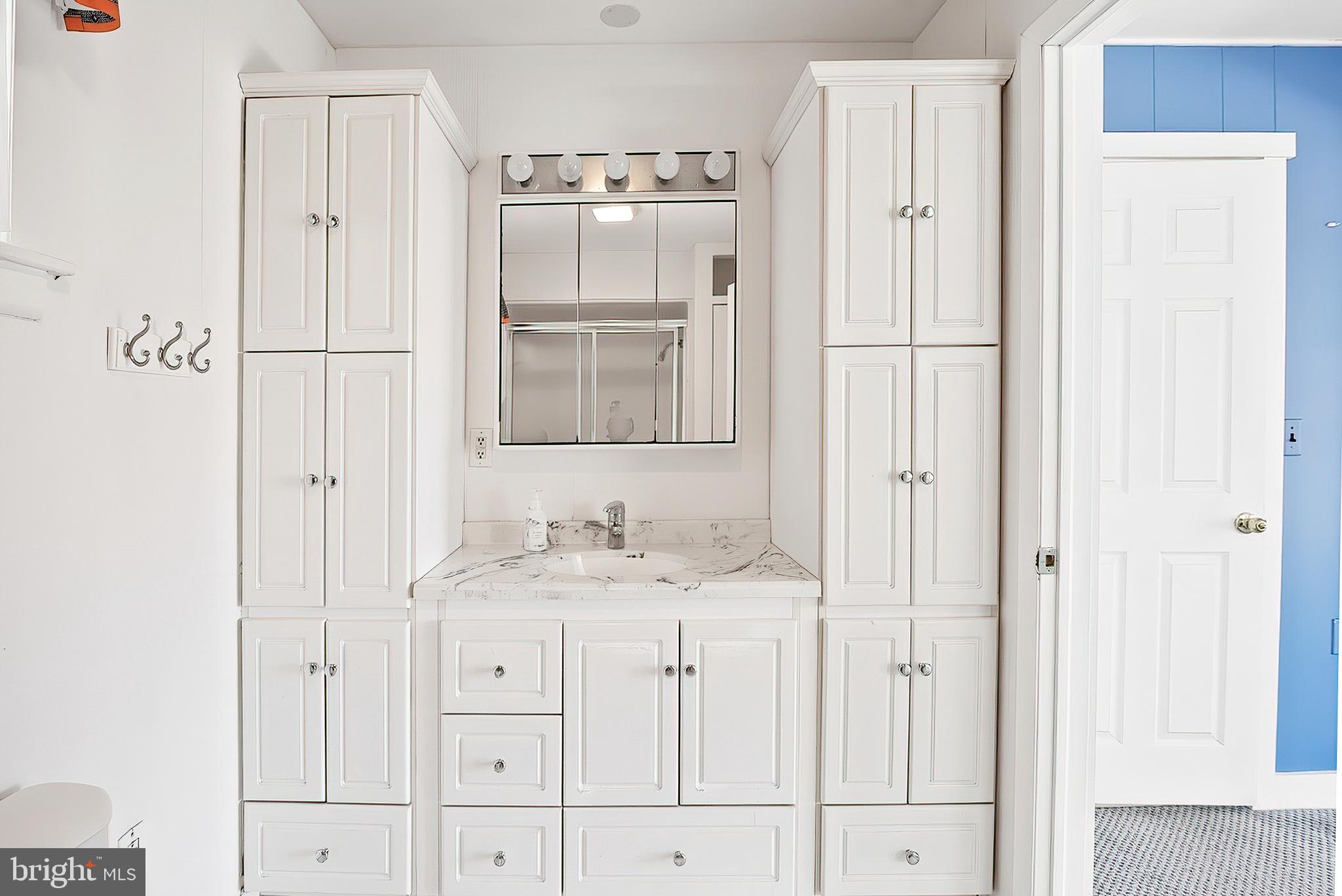 33 Bonney Shore Road Elkton, MD 21921 - Photo 14 of 38 Owners Bath, lots of cabinets