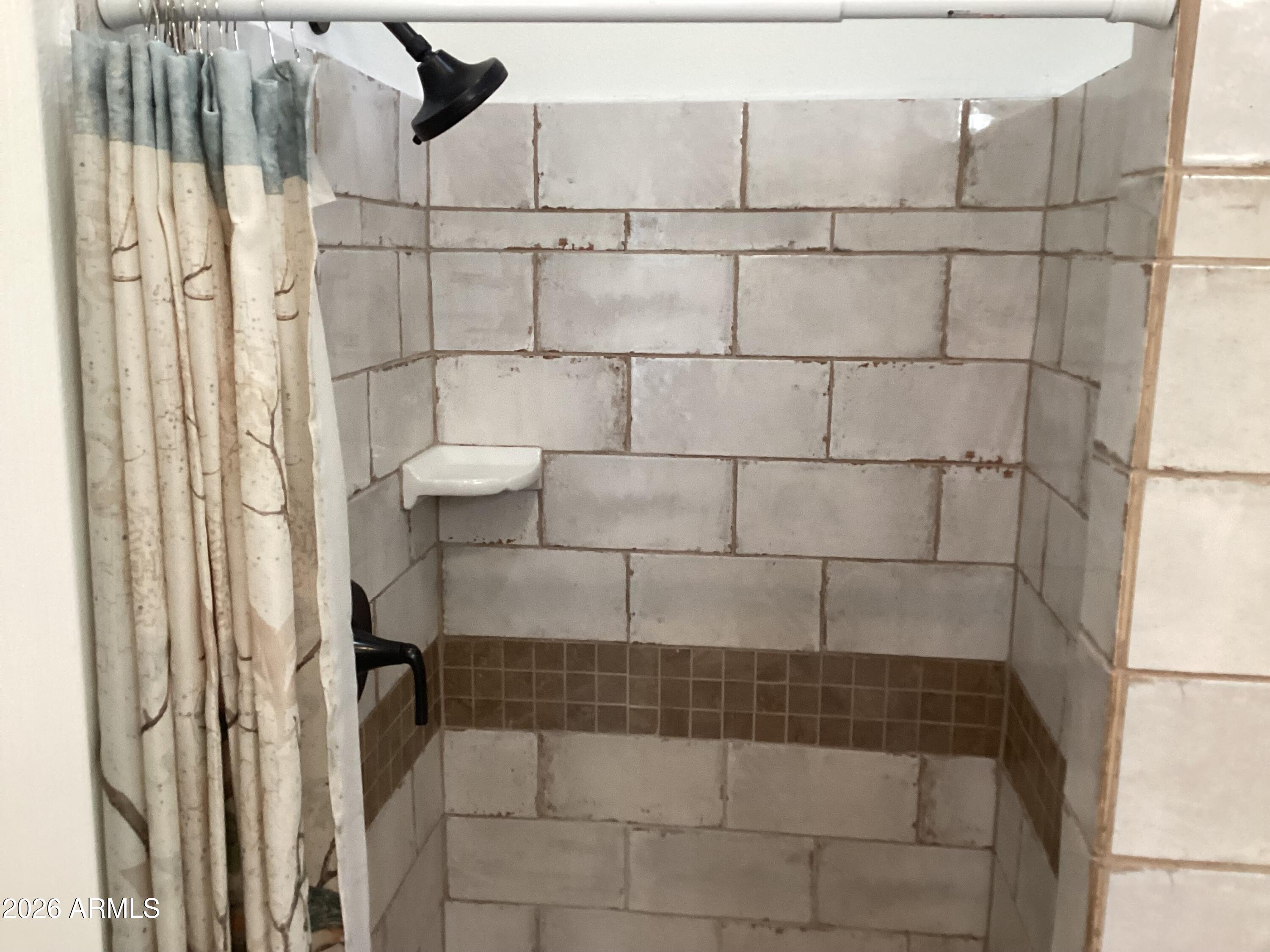 111 South Greenfield Road, Unit 163 Mesa, AZ 85206 - Photo 8 of 16 a bathroom with a shower
